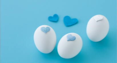 One Column Portfolio Post 1