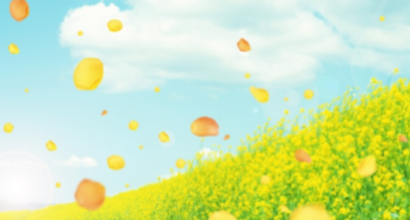 One Column Portfolio Post 1