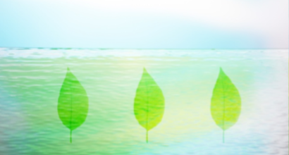 One Column Portfolio Post 1