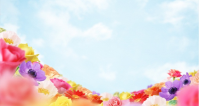 One Column Portfolio Post 1